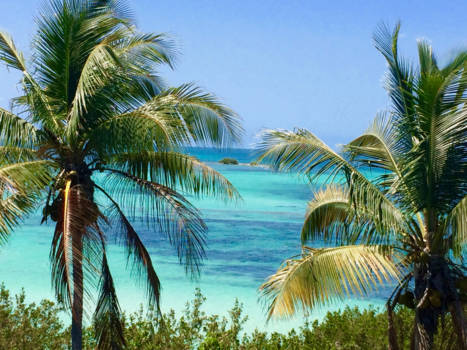 Florida Keys - Tropical