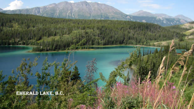 Alaska - Emerald Lake, B.C.