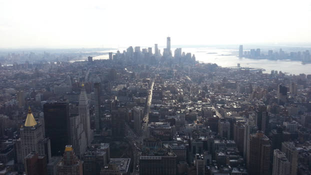 New York - Uitzicht vanaf het Empire State Building