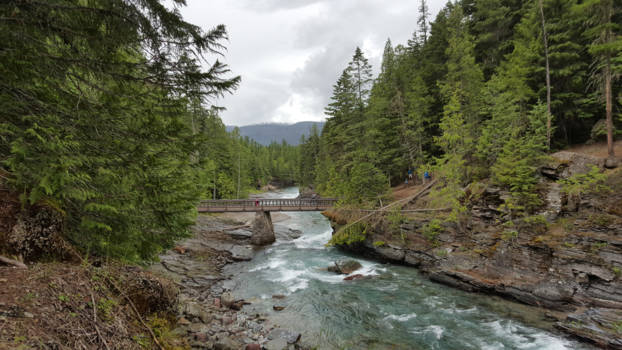 Glacier National Park - Go with the flow, go with nature