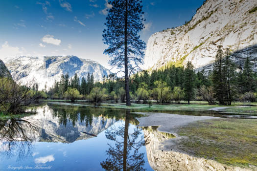 Yosemite National Park - Mirror lake reflections 2