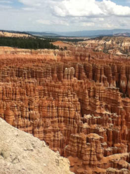 Bryce Canyon National Park - Rood gebergte - Amerika