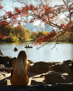 Central Park - Fall in New York City