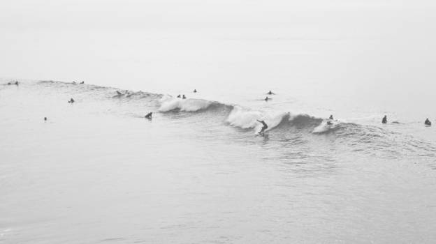 California - A Californian Winter Day