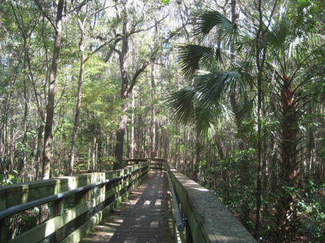 Florida - Heerlijke wandeling