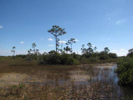 Everglades National Park - Mooie dag in de everglades