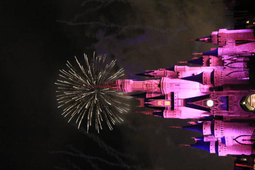 Disney World - Cinderella Dream Castle