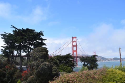 San Francisco - Loveable getaway