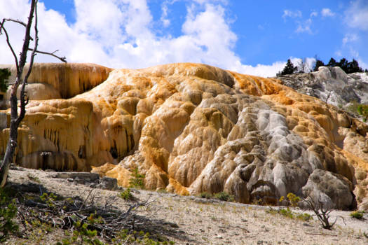 Yellowstone National Park - Gestolde kleuren