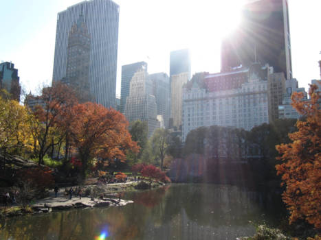 New York - Central park