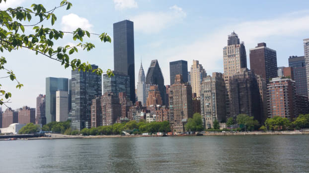 New York - Uitzicht vanaf Roosevelt Island