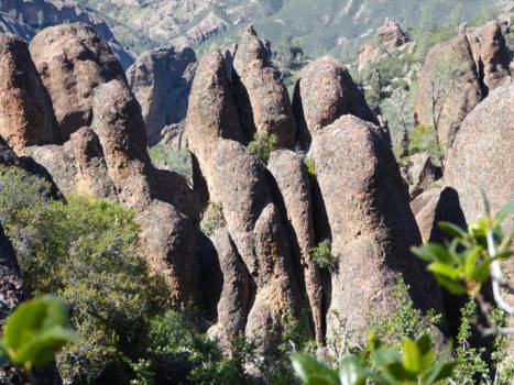California - National Park "Pinnacles"
