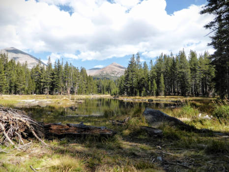 Yosemite National Park - Yosemite