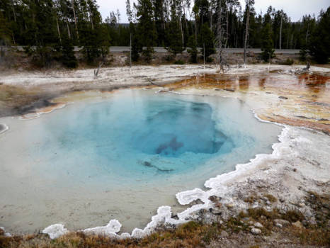 Yellowstone National Park - Geiser in Yellowstone