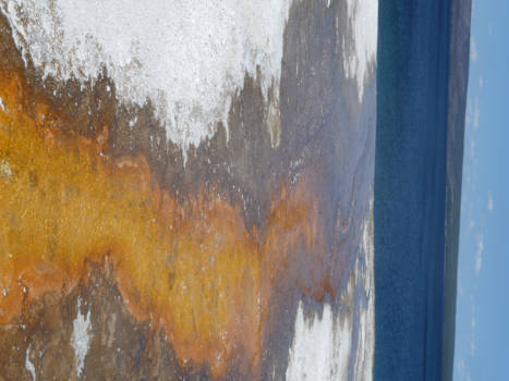 Yellowstone National Park - "Kronkelweg" naar Lake Yellowstone