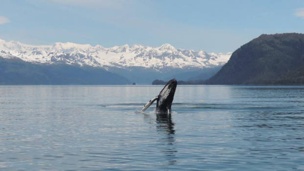 Alaska - Adembenemend