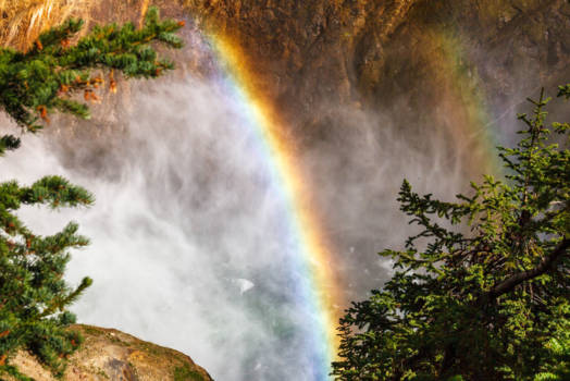 Yellowstone National Park - Loert Falls Yellowstone River
