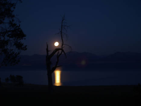 Yellowstone National Park - Volle maan