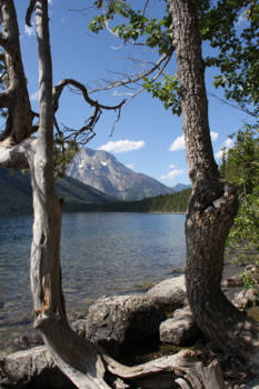 Grand Teton National Park - Doorkijkje