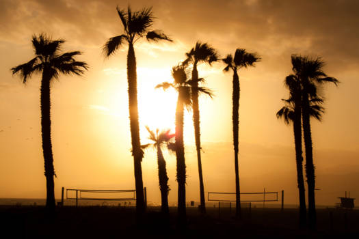 Los Angeles - sunny venice beach