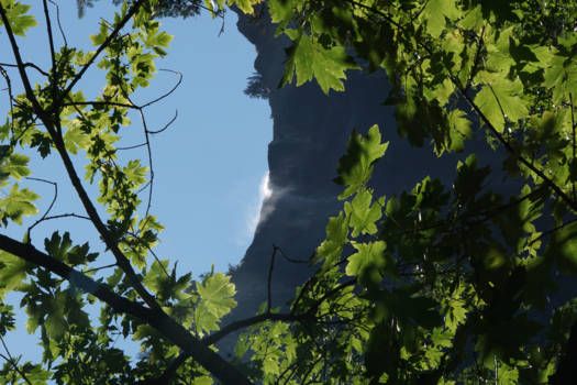Yosemite National Park - dwarse bridalvail in Yosemite