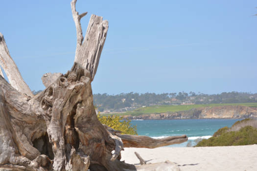 Monterey - Montery Life is good