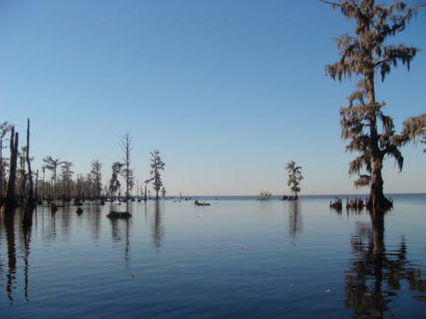Georgia - Lake Maurepas