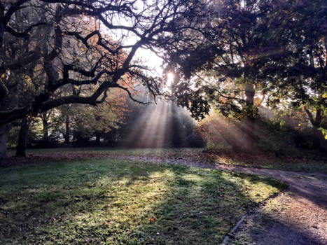 Washington D.C. - Zonnestralen