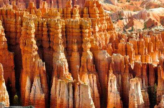 Utah - Brice canyon, je kan hier uren turen en staats weer iets anders zien! Prachtig!!