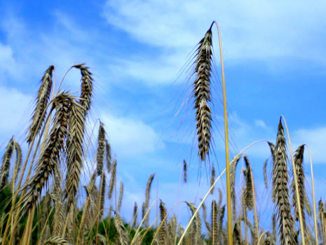 Seattle - On the way, off the way?