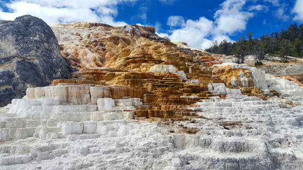 Yellowstone National Park - De prachtige Mammoth Hot Springs