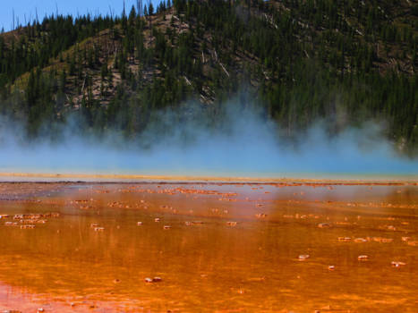 Yellowstone National Park - yellowstone, grand prismatic spring