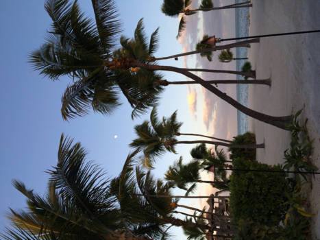 Florida Keys - Zon gaat onder op islamorada