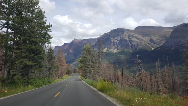 Glacier National Park - Home is where your heart is