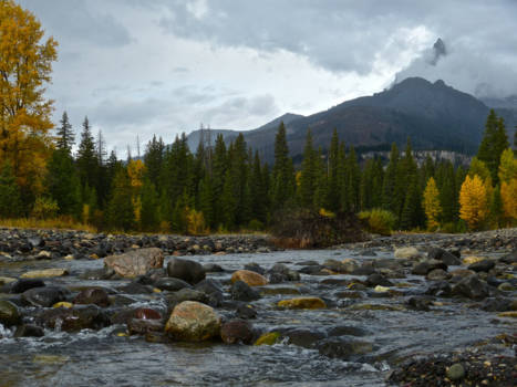 Yellowstone National Park - Tussenstop Beartooth Highway