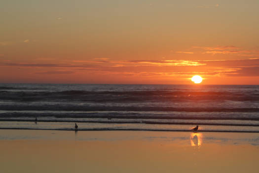 Seattle - a perfect sunset