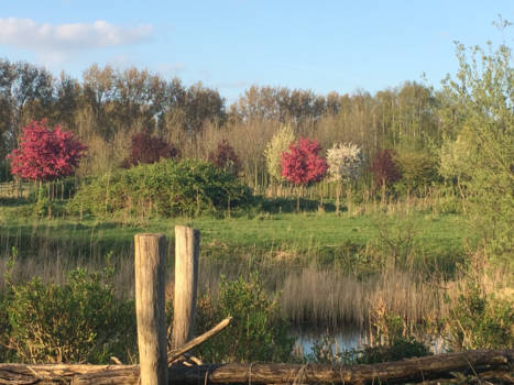 Alaska - Dichtbij huis.