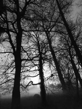 Washington - Darkness in the morning