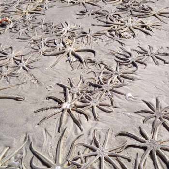 Florida - After the storm...