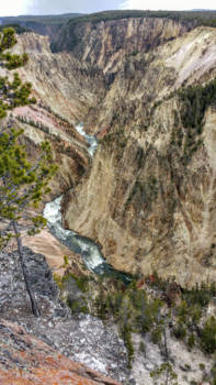 Yellowstone National Park - Canyon Yellowstone