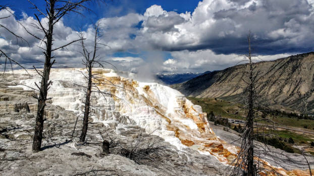 Yellowstone National Park - Mammoth Hot Springs