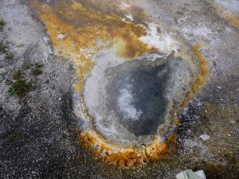 Yellowstone National Park - Geiser