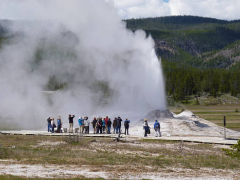 Yellowstone National Park - Geiser