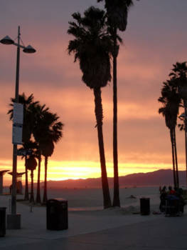 Venice Beach - Venice beach.