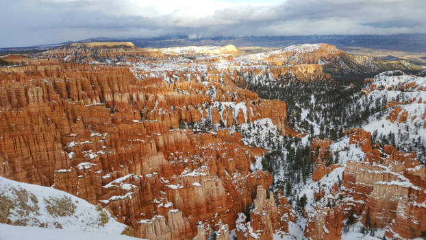 Bryce Canyon National Park - Colours of the wild
