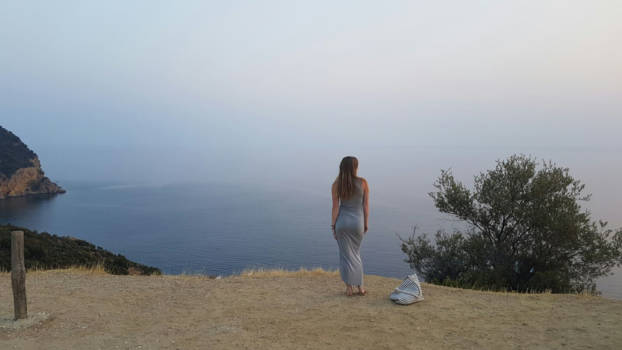 Hawaii - A view with a secret