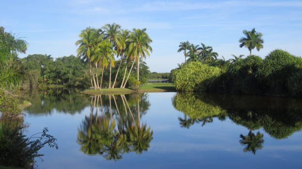 Florida - weerspiegeling
