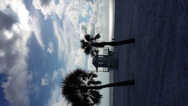 Miami - Een droomreis