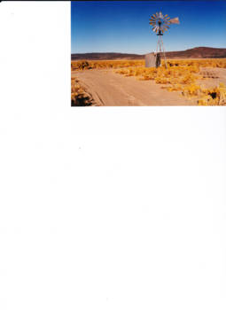 California - wind en water in de woestijn