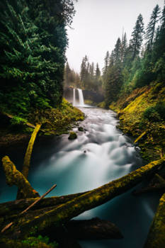 Oregon - Koosah Falls